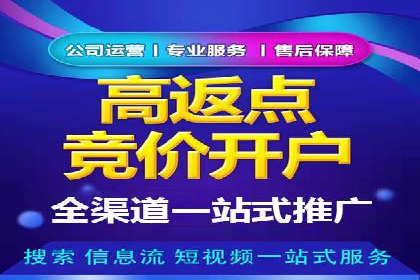 SEM运营公司案例解析：精准广告投放技巧